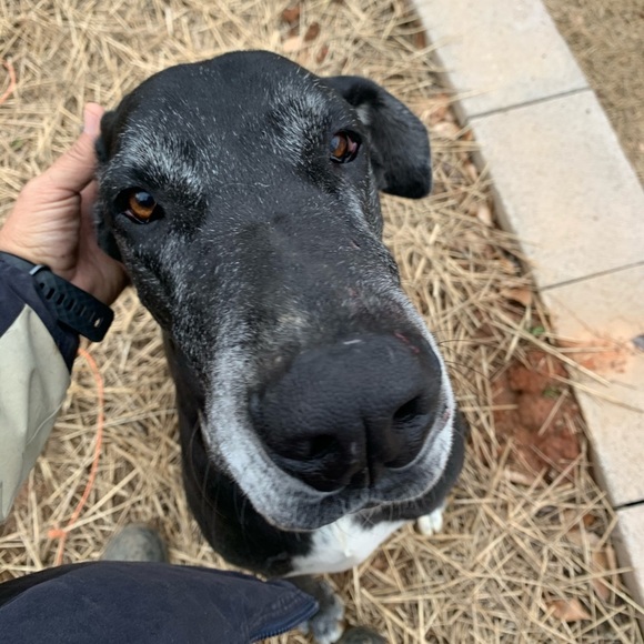 Meet your Posher, Israel - Picture 1 of 1